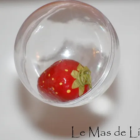 Otel Maison D'hotes Le Mas De Lila *